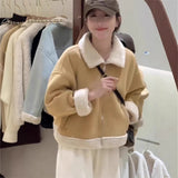 Korean Lamb Plush Fur Coat Female Autumn Winter Temperament High-Grade Small Fragrant Wind Thick Warm Top