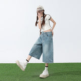 Light Blue Seven-Legged Jeans Women's Summer 2025 New Pear-Shaped Loose Thin Straight Trousers